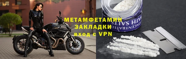 ГАЛЛЮЦИНОГЕННЫЕ ГРИБЫ Дмитриев