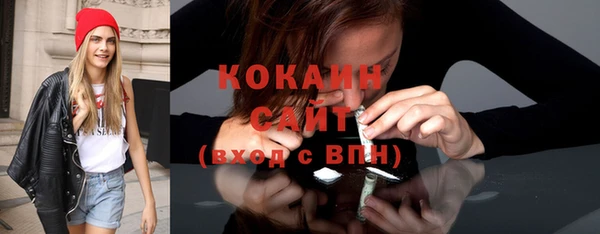 ГАЛЛЮЦИНОГЕННЫЕ ГРИБЫ Дмитриев