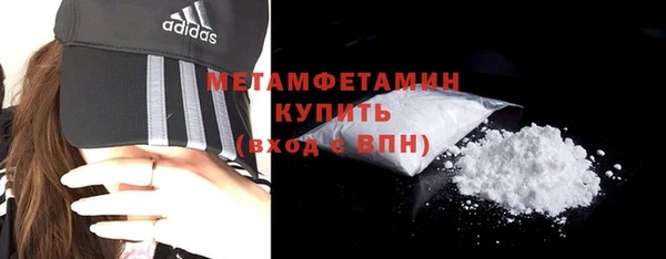 ГАЛЛЮЦИНОГЕННЫЕ ГРИБЫ Дмитриев