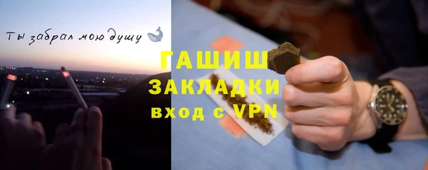 ГАЛЛЮЦИНОГЕННЫЕ ГРИБЫ Дмитриев