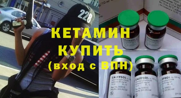 ГАЛЛЮЦИНОГЕННЫЕ ГРИБЫ Дмитриев