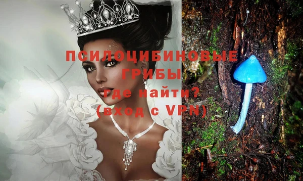 ГАЛЛЮЦИНОГЕННЫЕ ГРИБЫ Дмитриев