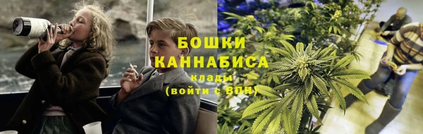 ПСИЛОЦИБИНОВЫЕ ГРИБЫ Елизово