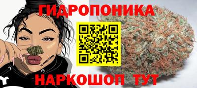 spice Можайск