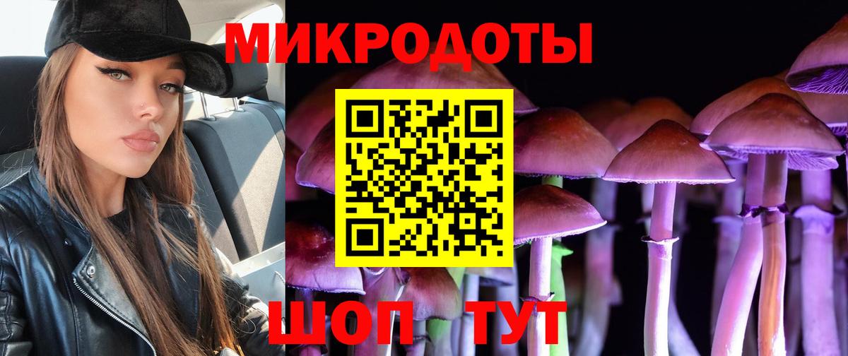 Галлюциногенные грибы Cubensis Елизово
